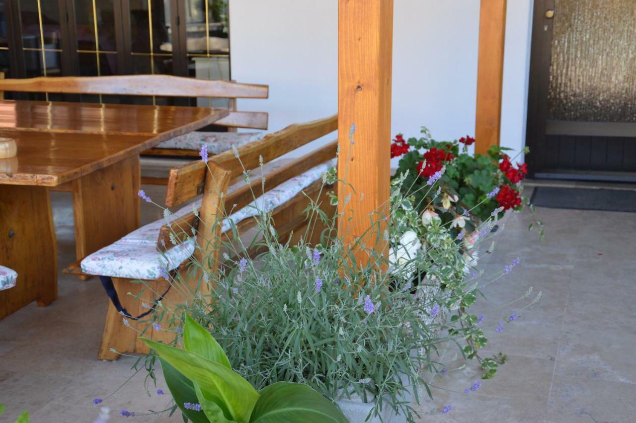Apartmani "Glavas" Vrsar Exterior foto